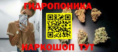 молекула духа Абакан